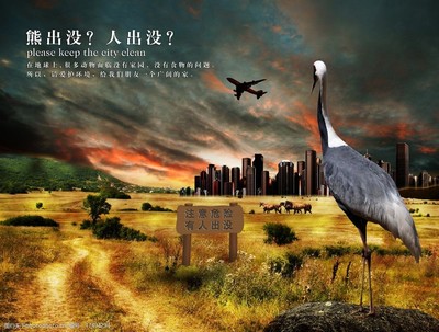 平凡力量，铸就非凡公益